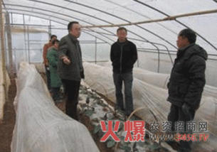 四川农科院园艺所专家赴汉源县推进合作项目，助力园艺服务提质增效