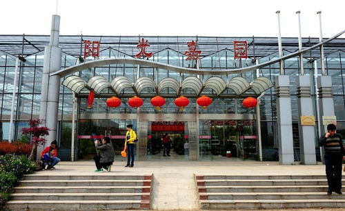 玻璃温室农业观光园 融合常规设施与园艺服务的现代农业典范