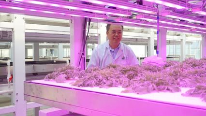 教授级高工周增产9月14日解读温室园艺与智慧植物工厂在国内发展状况